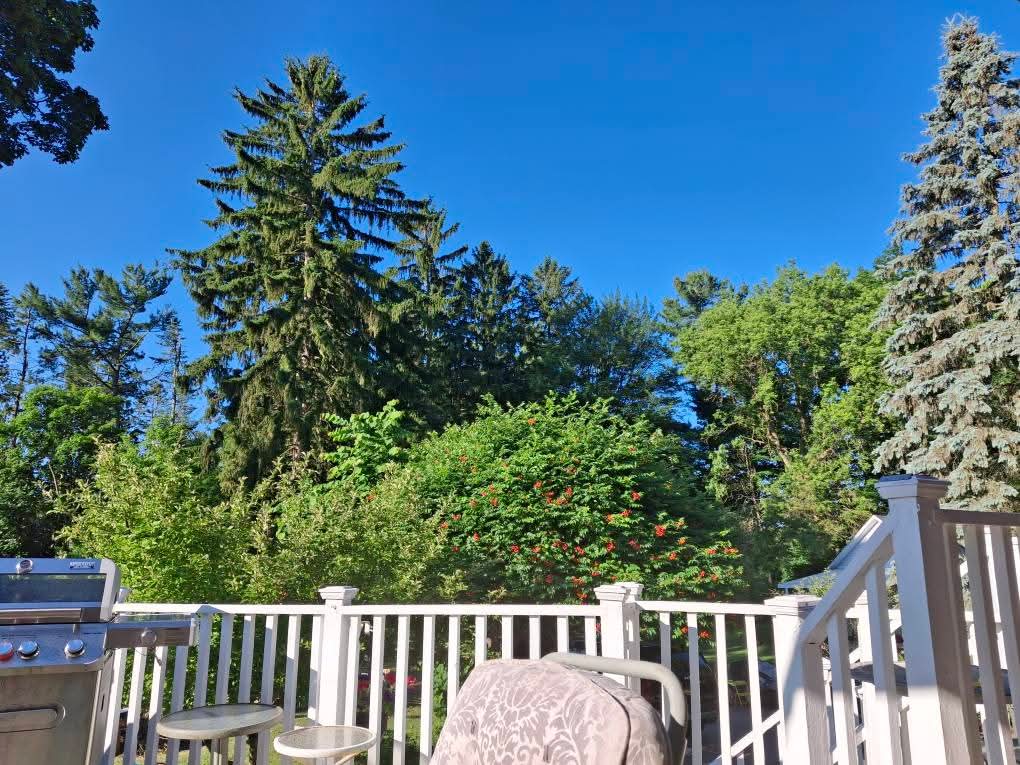 Summer in Michigan (or life in the&nbsp;in-between)